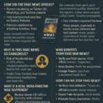 A Dangerous Game of Misinformation